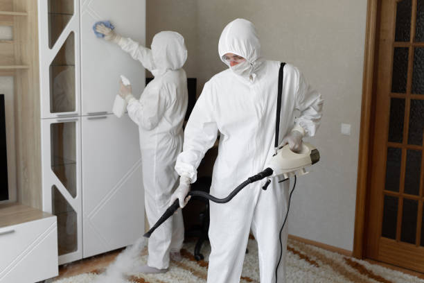 Mold Removal and Inspection in Pierz, MN
